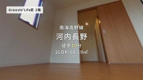 動画