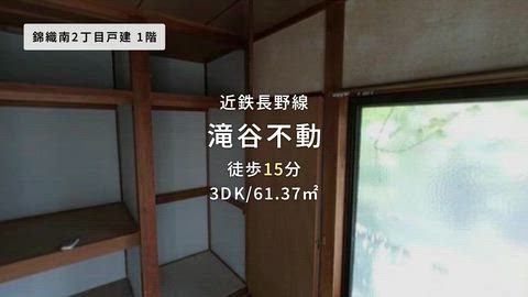 動画
