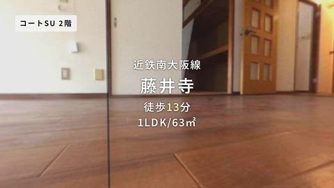動画
