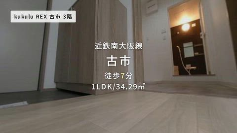 動画