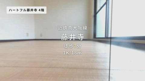 動画