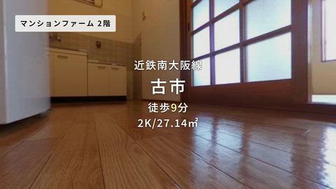動画