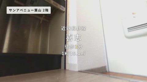 動画
