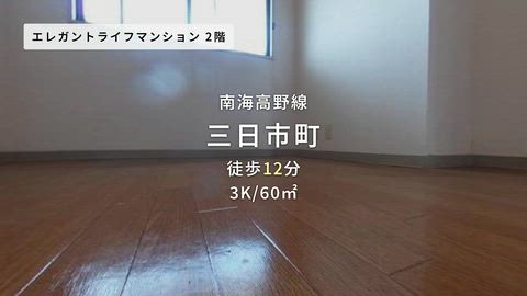 動画