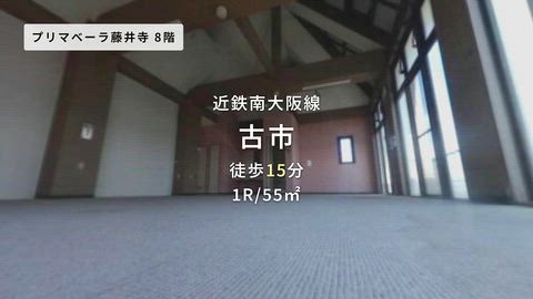 動画