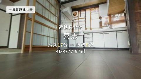 動画