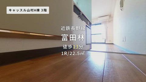 動画