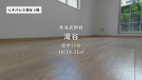 動画
