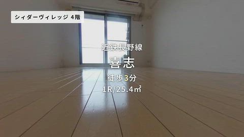 動画