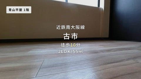 動画