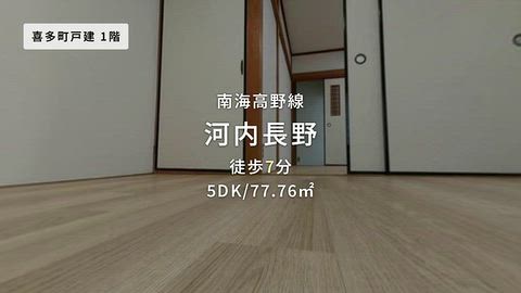 動画