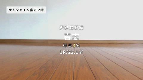 動画