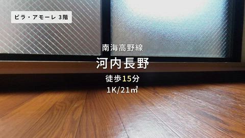 動画