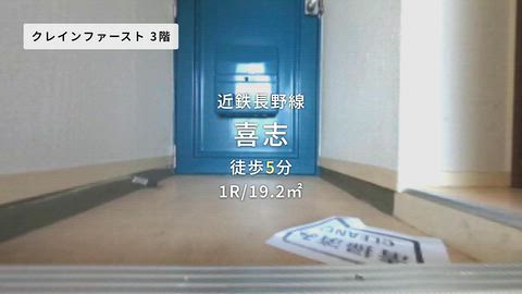 動画