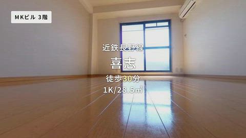 動画