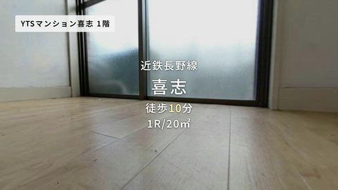 動画