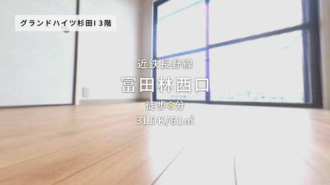 動画
