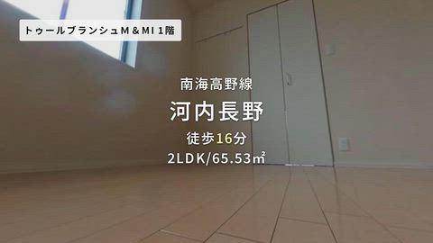 紹介ムービー