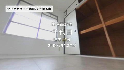 動画