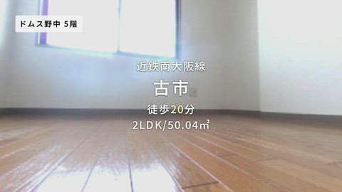 動画