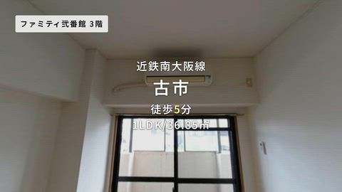 動画