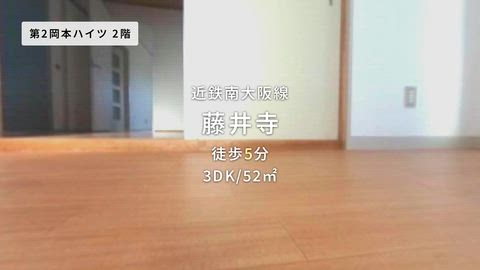 動画