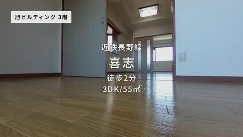 動画