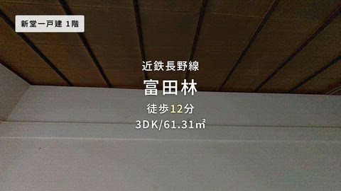 動画