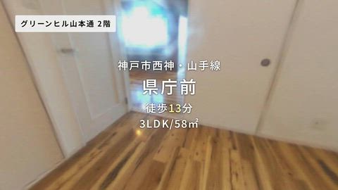 動画