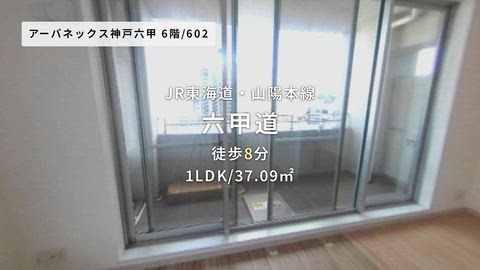 動画