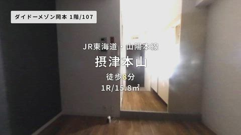 動画