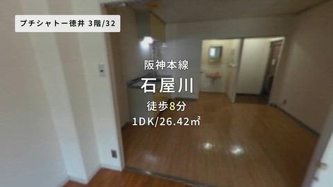 動画