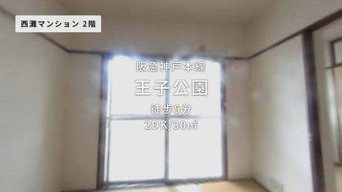 動画