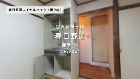 動画