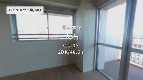 動画