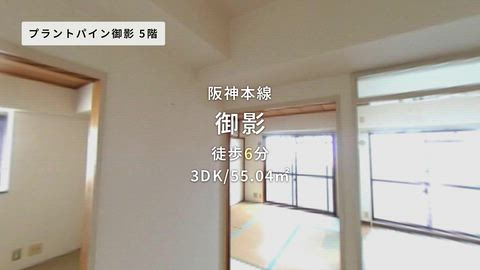 動画