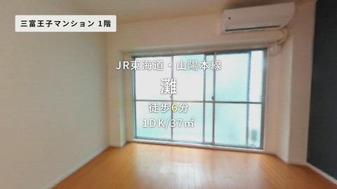 動画