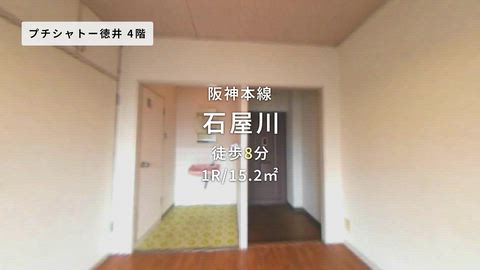 動画