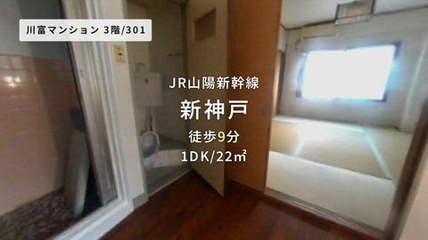 動画