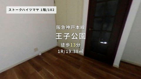 動画