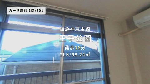動画