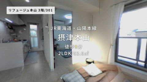 動画