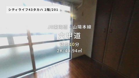 動画