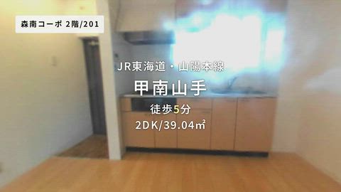 動画