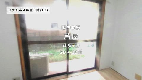 動画