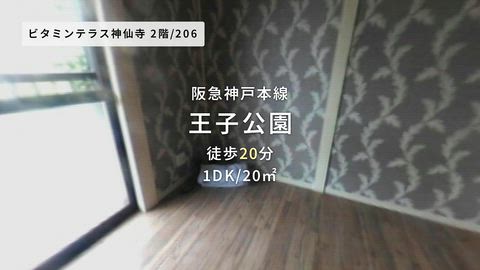 動画