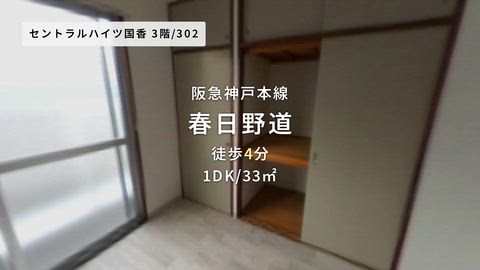 動画