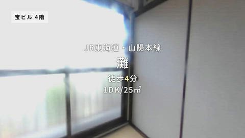 動画