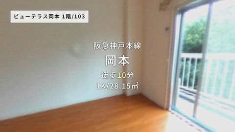 動画