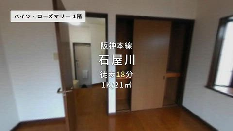動画